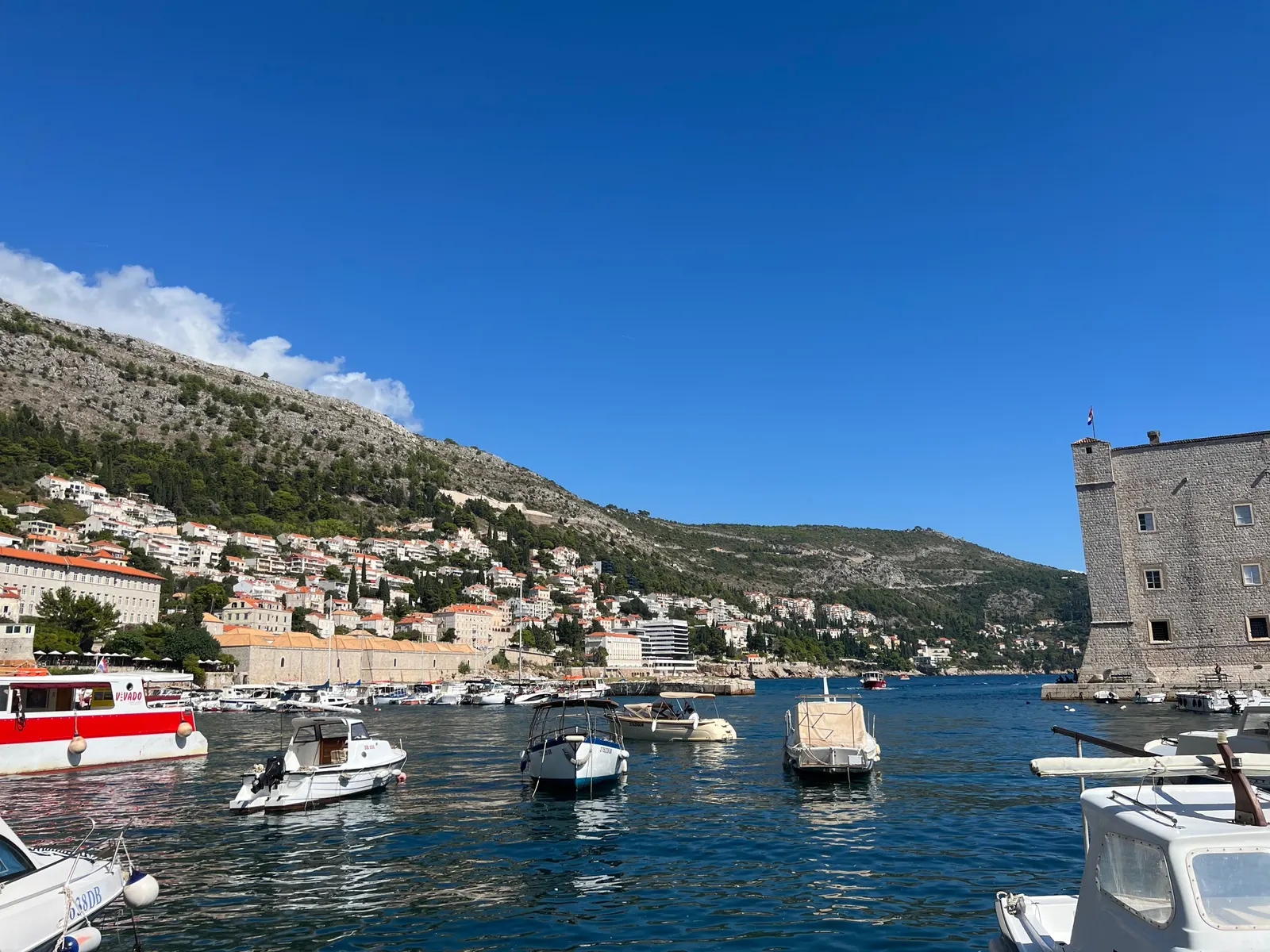 Boats in Dubrovnik's old port, with the stone fortress and hillside town behind